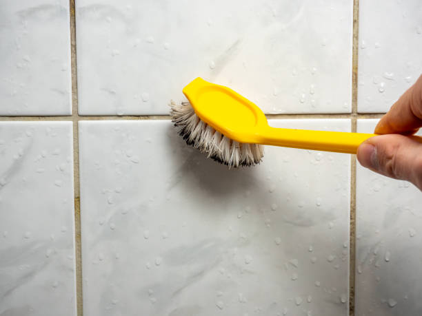 Best Black Mold Removal  in Bono, AR